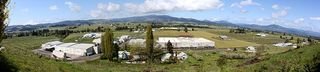 800px-Pine_Grove_Oregon_panorama