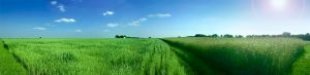 Panorama_field_grass_248149_l