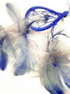 Dream_feather_blue_266249_l