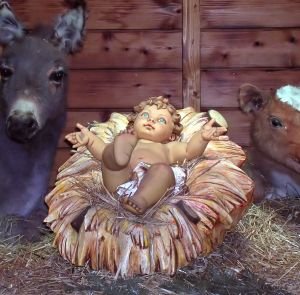 Baby-manger-nativity-72863-l