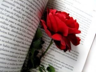 Rose_passion_novel_244517_l