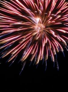 Firework_fireworks_July_268936_l